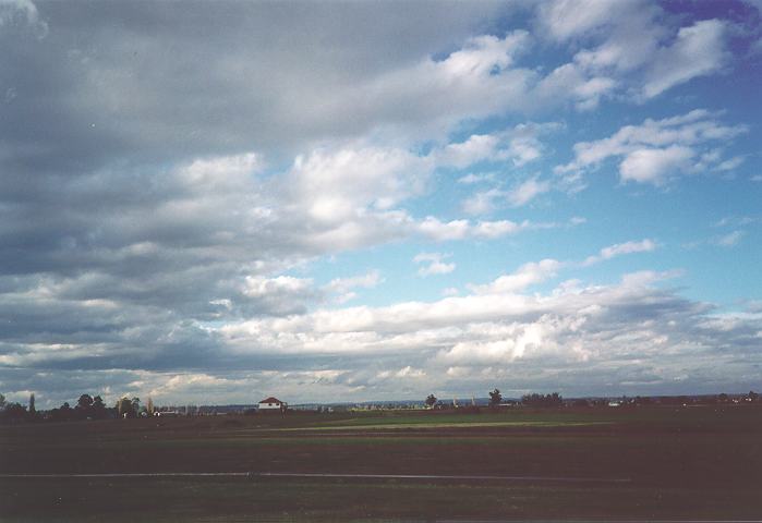 stratocumulus stratocumulus_cloud : Freemans Reach, NSW   5 September 1995