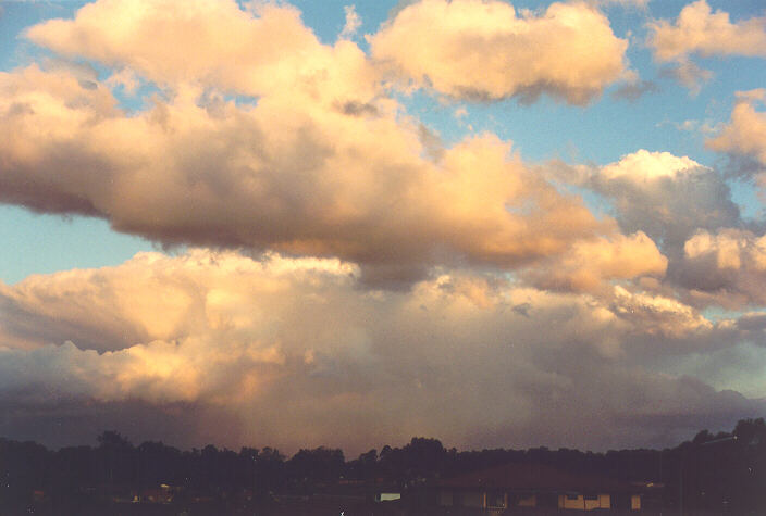 cumulus congestus : Oakhurst, NSW   5 September 1995