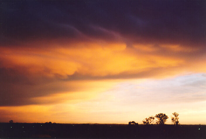 sunset sunset_pictures : Schofields, NSW   20 September 1995