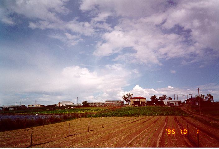 altocumulus castellanus : Schofields, NSW   1 October 1995