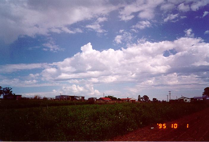 altocumulus castellanus : Schofields, NSW   1 October 1995