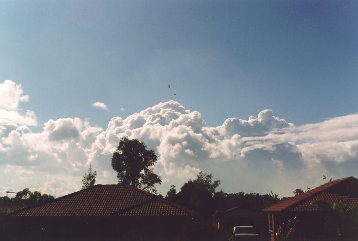 cumulus congestus : Oakhurst, NSW   3 October 1995