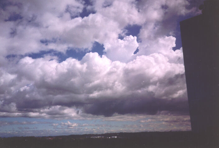 cumulus congestus : Parramatta, NSW   3 October 1995
