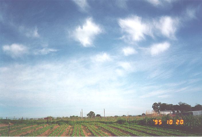 cirrus cirrus_cloud : Schofields, NSW   20 October 1995