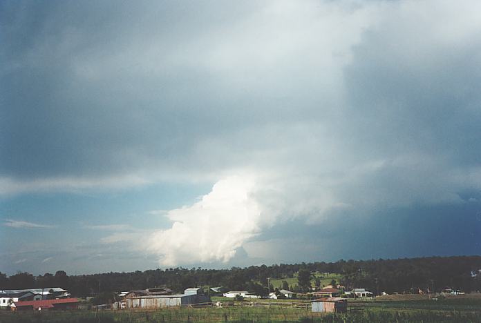 altostratus altostratus_cloud : Schofields, NSW   28 October 1995