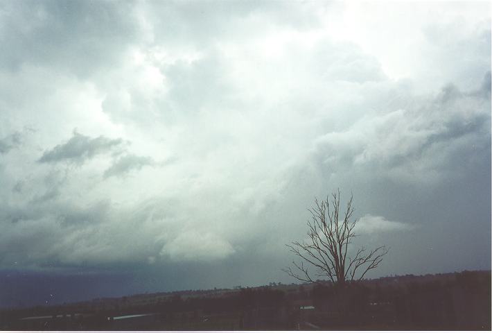 cumulonimbus supercell_thunderstorm : Kemps Creek, NSW   28 October 1995