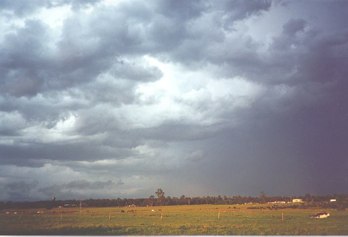 cumulus congestus : Quakers Hill, NSW   28 October 1995