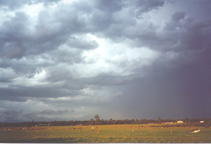 stratus stratus_cloud : Quakers Hill, NSW   28 October 1995