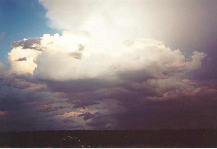 thunderstorm cumulonimbus_incus : Schofields, NSW   28 October 1995