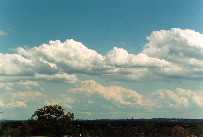 cumulus congestus : Schofields, NSW   5 November 1995