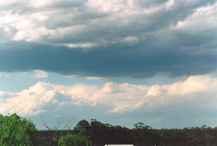 cumulus congestus : Schofields, NSW   5 November 1995
