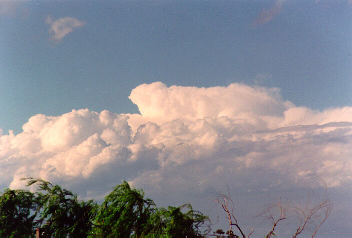 thunderstorm cumulonimbus_calvus : Schofields, NSW   5 November 1995