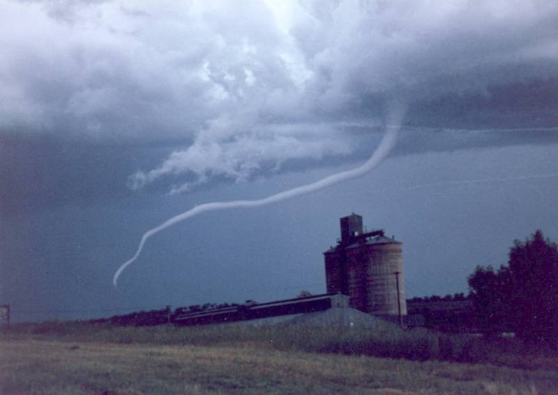 contributions received : Merriwa, NSW<BR>Photo by Mike Hadfield   5 November 1995