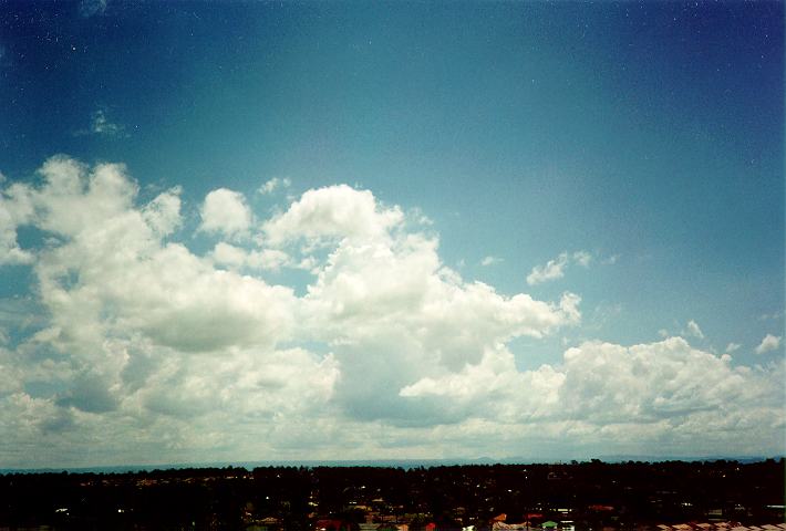 thunderstorm cumulonimbus_calvus : Rooty Hill, NSW   18 November 1995