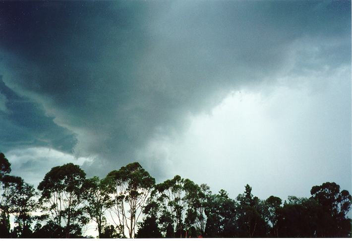 cumulonimbus thunderstorm_base : Orchard Hills, NSW   18 November 1995