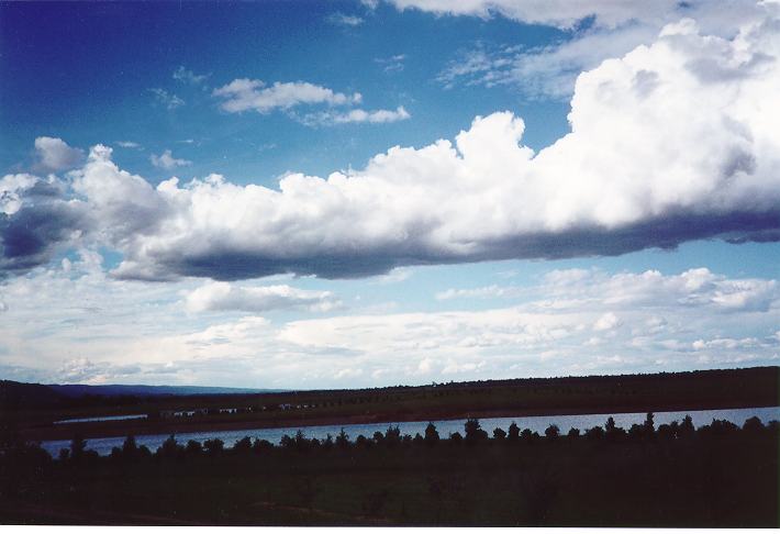 cumulus congestus : Castlereaghs, NSW   18 November 1995