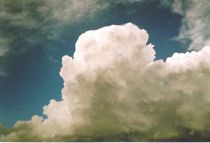 thunderstorm cumulonimbus_calvus : Castlereagh, NSW   18 November 1995