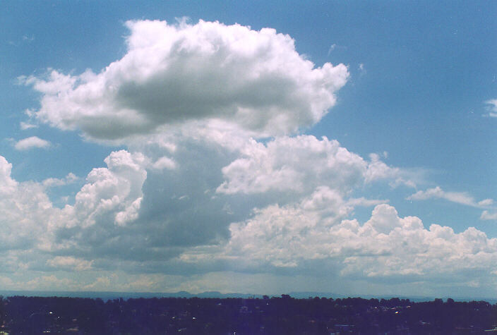 cumulus congestus : Rooty Hill, NSW   18 November 1995