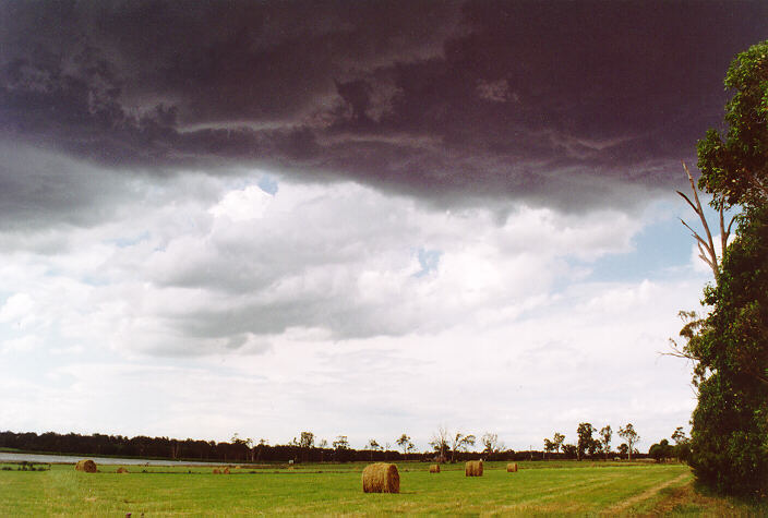 cumulonimbus thunderstorm_base : Cobbity, NSW   18 November 1995