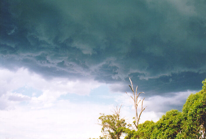 cumulonimbus thunderstorm_base : Cobbity, NSW   18 November 1995