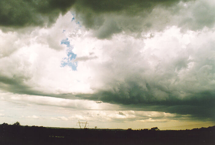 cumulus congestus : Castlereagh, NSW   18 November 1995