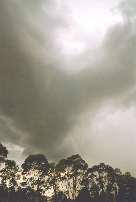 cumulonimbus thunderstorm_base : Luddenham, NSW   18 November 1995