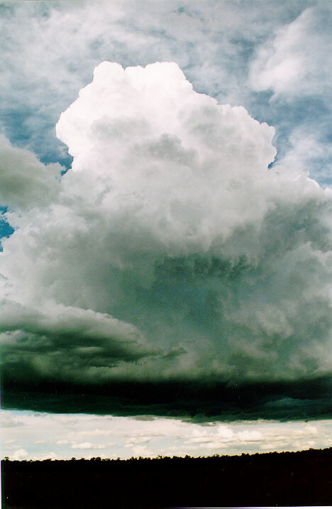 updraft thunderstorm_updrafts : Castlereagh, NSW   18 November 1995