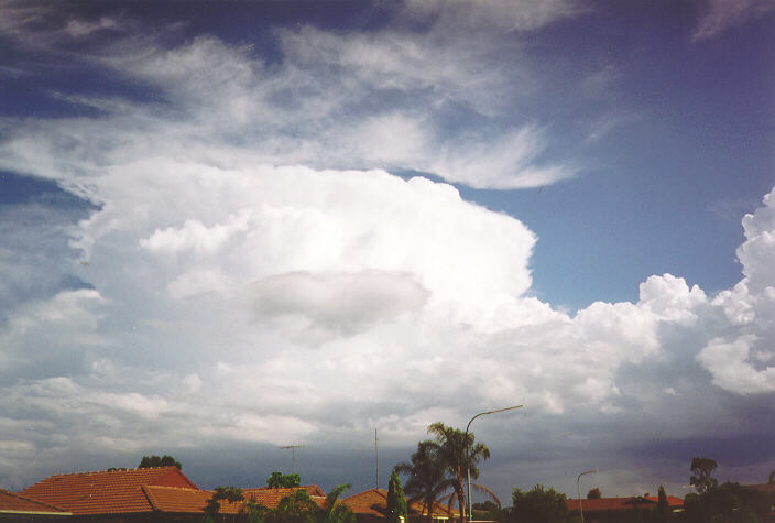 cirrus cirrus_cloud : Oakhurst, NSW   18 November 1995