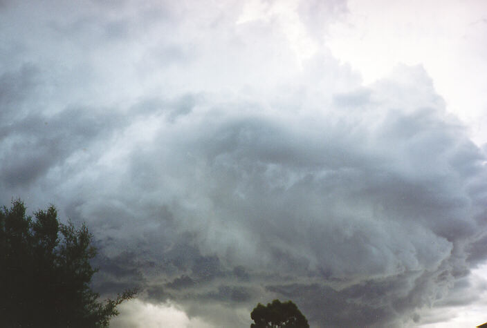 cumulonimbus thunderstorm_base : Oakhurst, NSW   18 November 1995