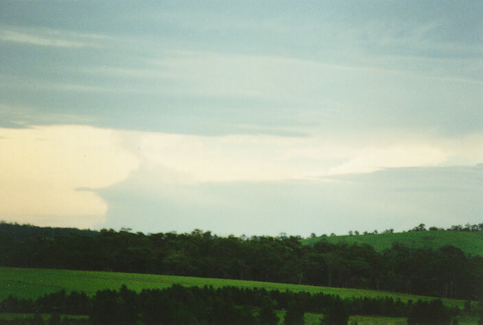 cumulus congestus : Maitland, NSW   10 December 1995