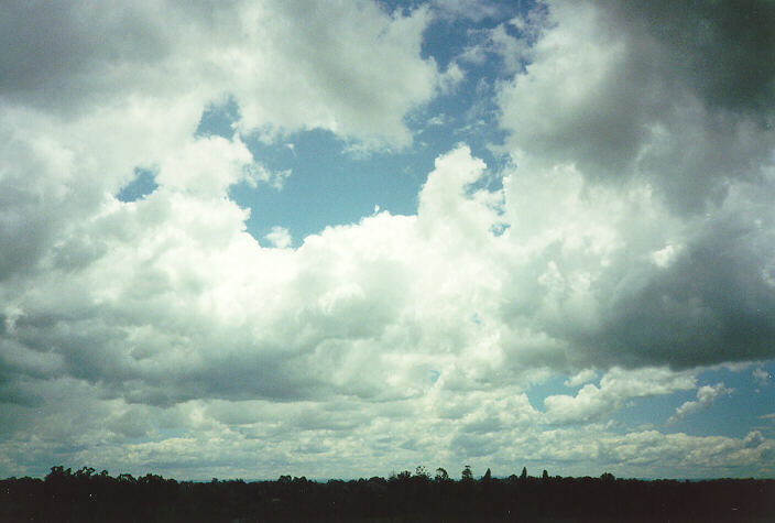 cumulus mediocris : Parramatta, NSW   12 December 1995