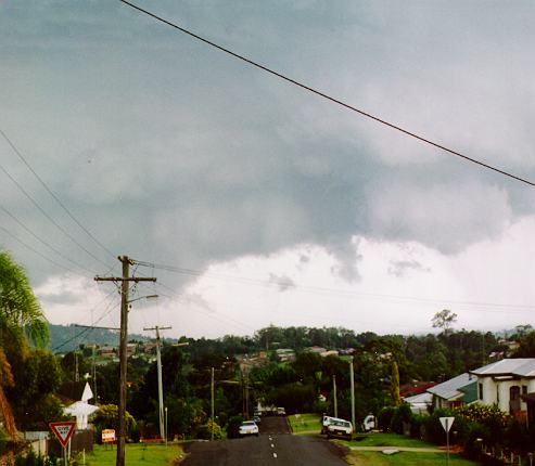 contributions received : Lismore, NSW<BR>Photo by Leith Martin   16 December 1995