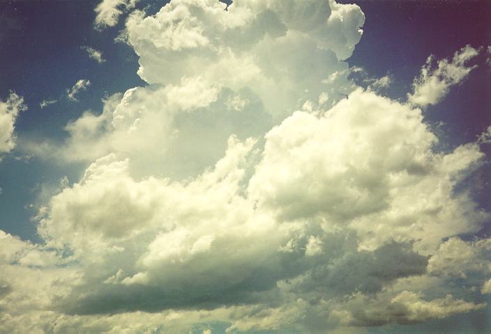 thunderstorm cumulonimbus_calvus : Schofields, NSW   18 December 1995