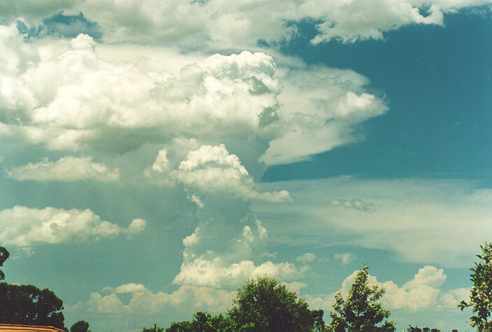 cirrus cirrus_cloud : Oakhurst, NSW   18 December 1995