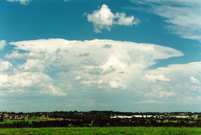 thunderstorm cumulonimbus_incus : Rooty Hill, NSW   18 December 1995