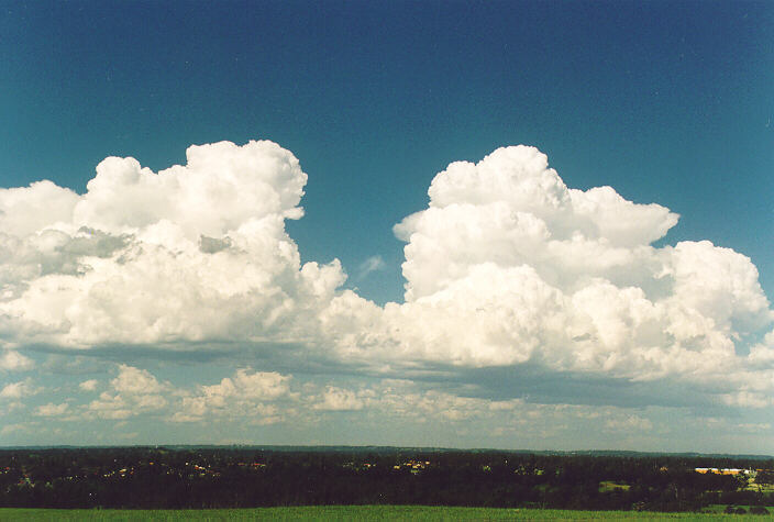 thunderstorm cumulonimbus_calvus : Rooty Hill, NSW   18 December 1995