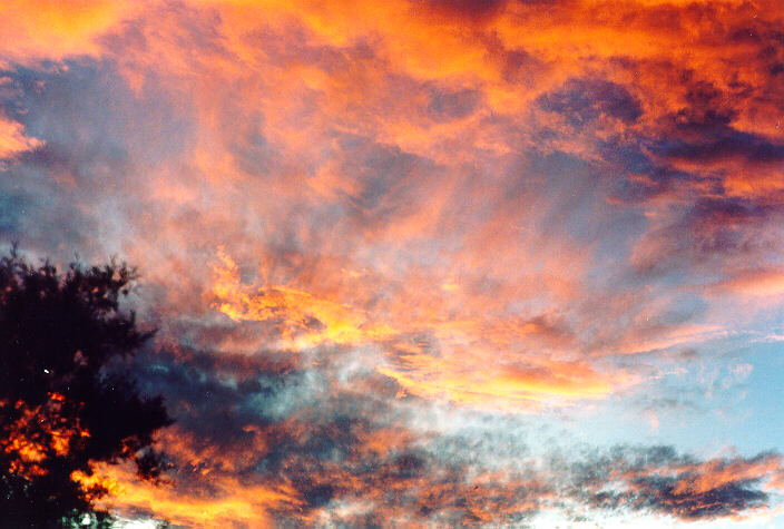 altocumulus altocumulus_cloud : Oakhurst, NSW   18 December 1995