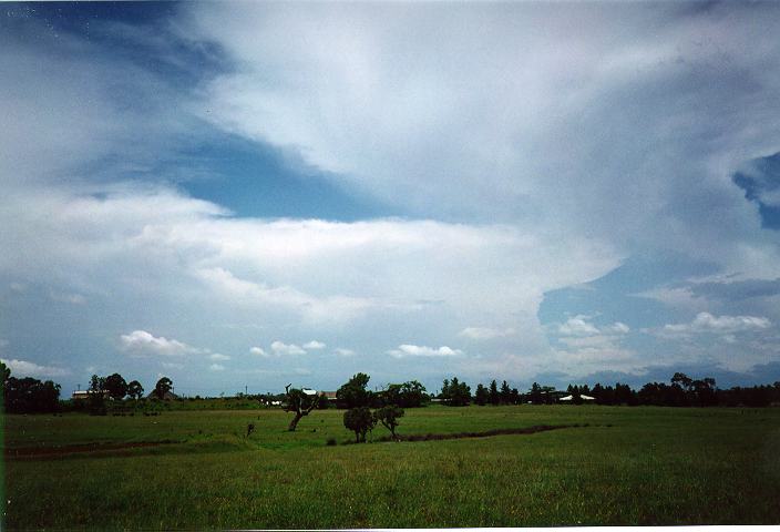 cirrus cirrus_cloud : Erskine Park, NSW   27 December 1995