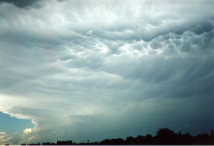 mammatus mammatus_cloud : Camden, NSW   27 December 1995