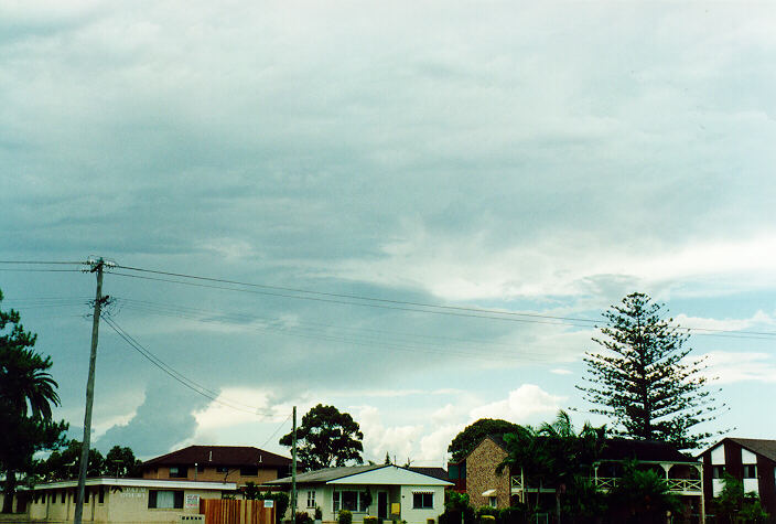 cumulus congestus : Ballina, NSW   28 December 1995