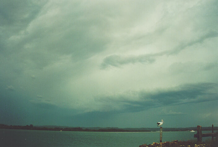 cumulonimbus thunderstorm_base : Ballina, NSW   28 December 1995
