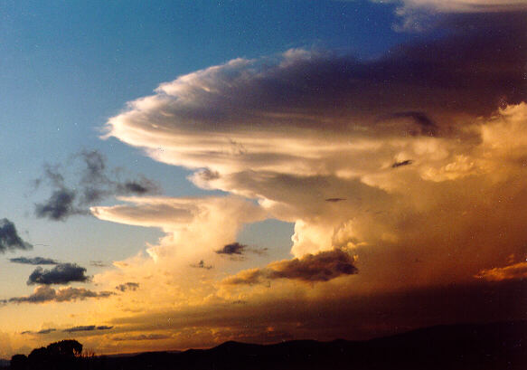 contributions received : Lismore, NSW<BR>Photo by Leith Martin   1 January 1996