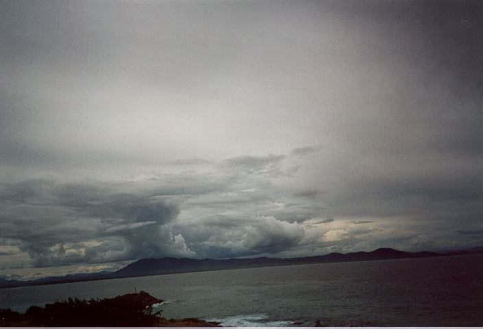 cumulus mediocris : South West Rocks, NSW   3 January 1996