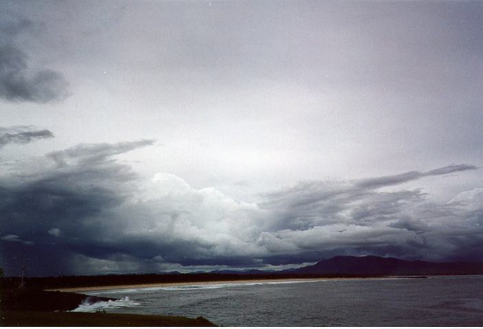 thunderstorm cumulonimbus_calvus : South West Rocks, NSW   3 January 1996