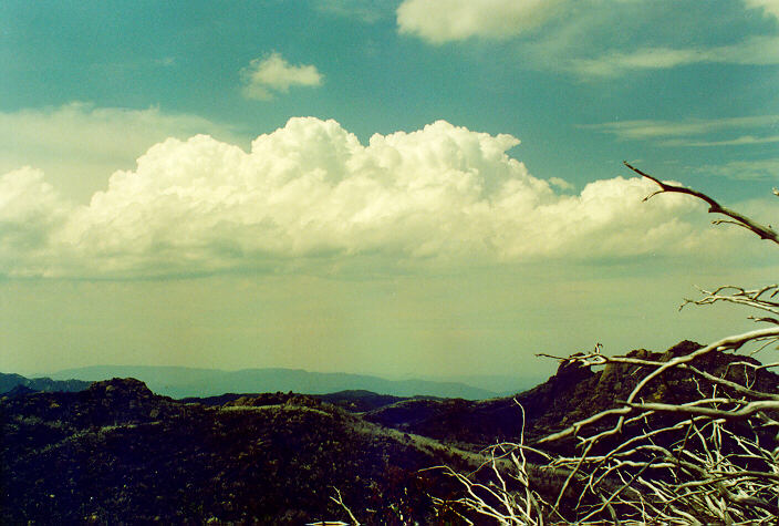 cumulus mediocris : Mt Buffalo, VIC   15 January 1996