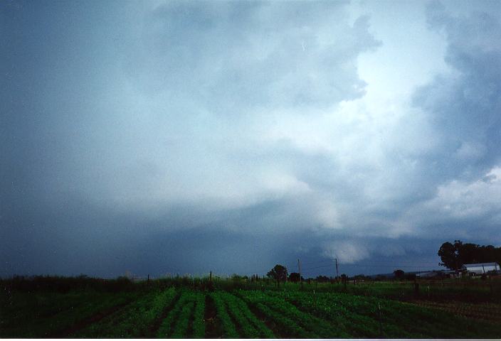 cumulonimbus thunderstorm_base : Schofields, NSW   19 January 1996