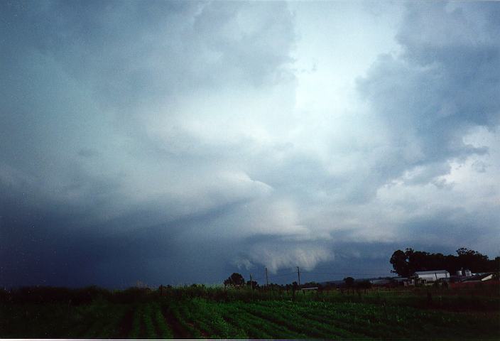 cumulonimbus thunderstorm_base : Schofields, NSW   19 January 1996