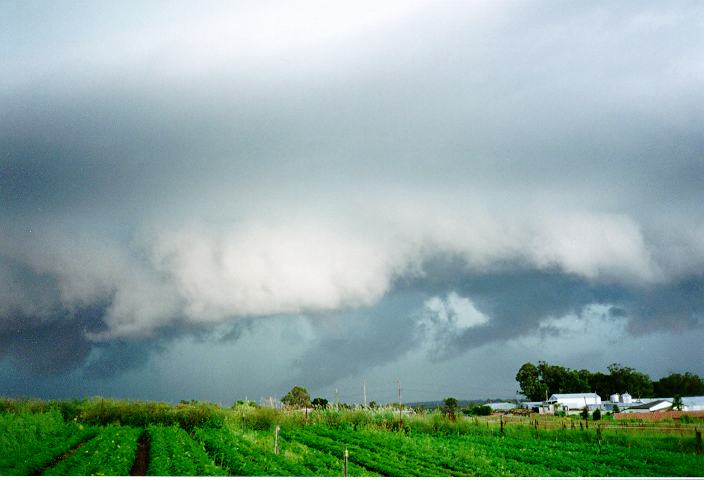 shelfcloud shelf_cloud : Schofields, NSW   19 January 1996