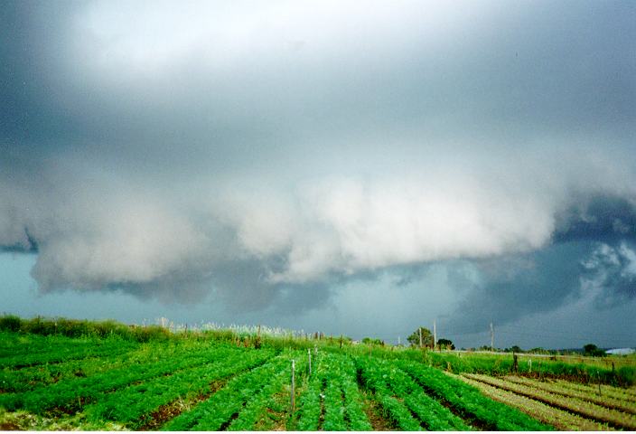 shelfcloud shelf_cloud : Schofields, NSW   19 January 1996