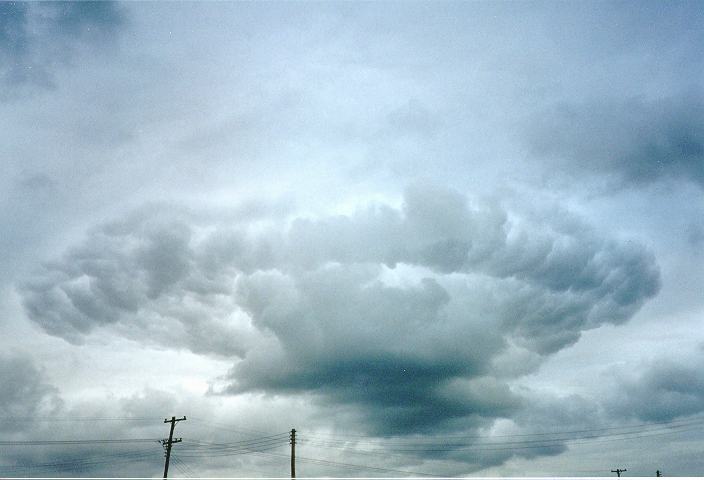 cumulonimbus thunderstorm_base : Schofields, NSW   22 January 1996